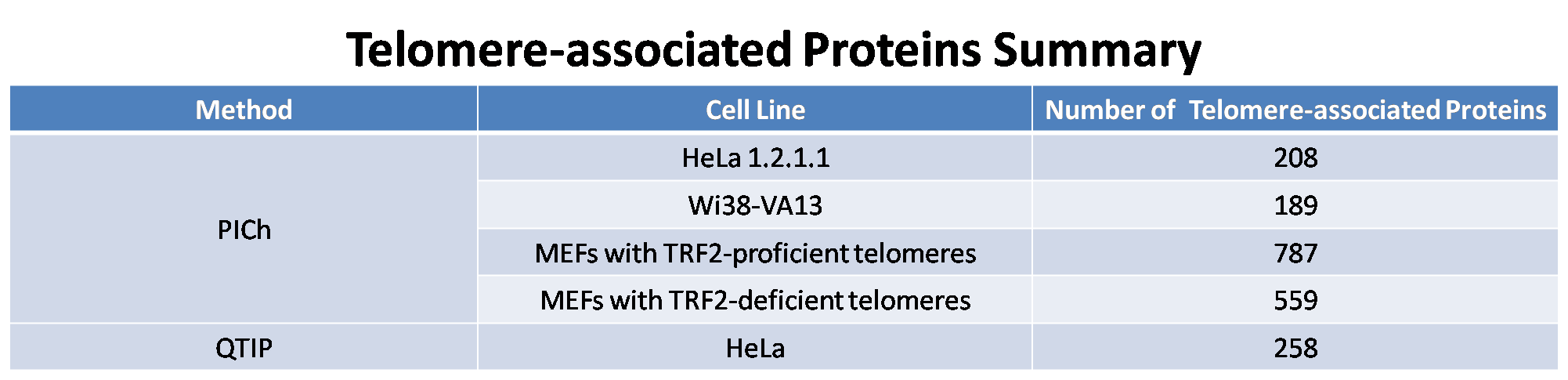 Telomere_binding.png